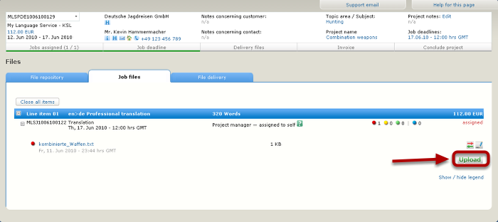 Go to the Job Files tab for file delivery